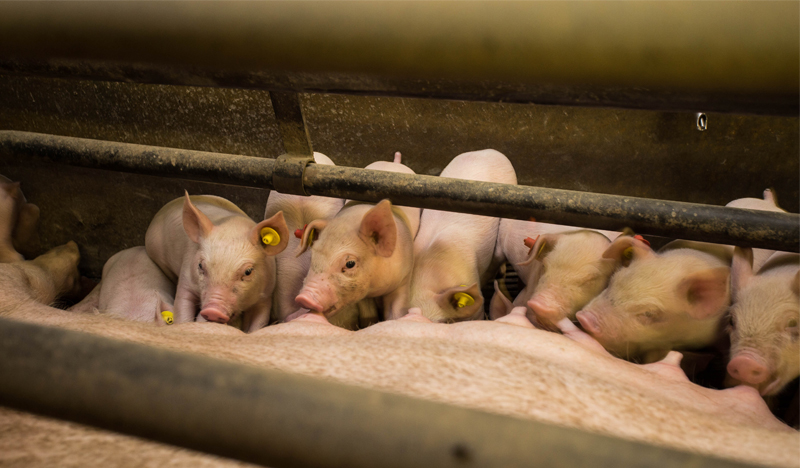 G92J純電動清洗車